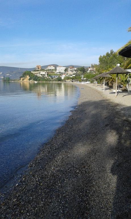 Aparthotel Μeltemi à Glífa Extérieur photo